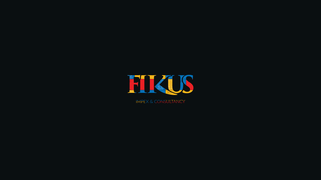 Como Transformamos a Identidade Visual da FIKUS IMPEX com Branding e Design